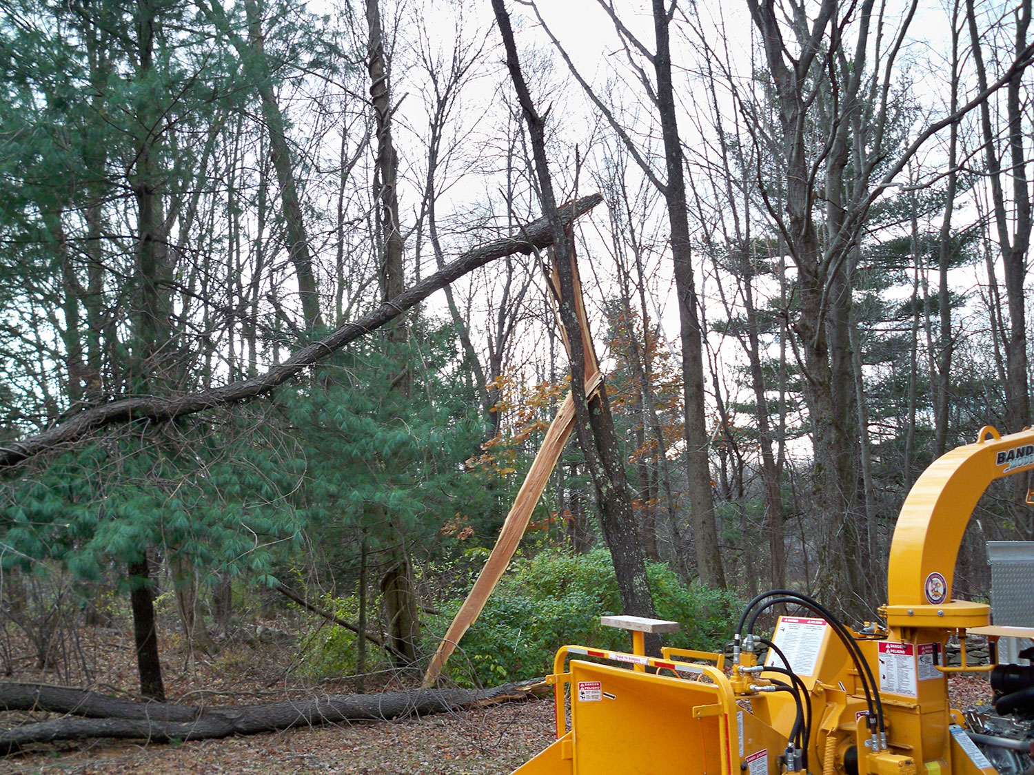 Year Round Property Care